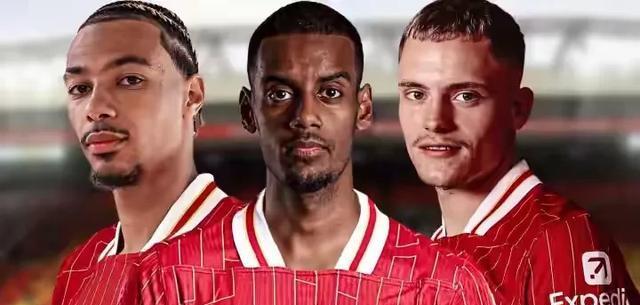 cn, 以来, 他们拥有丰